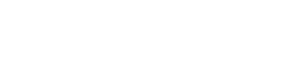 ThermoTech Logo White